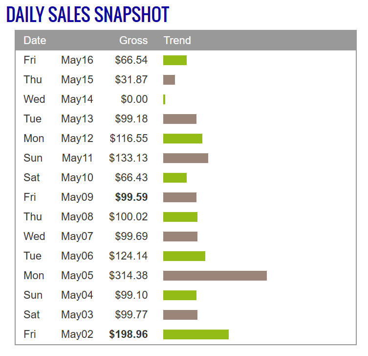 Daily Sales Snapshot